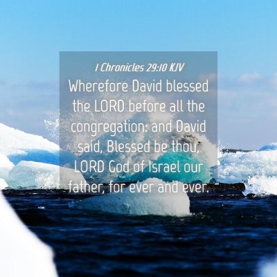 Picture 04 - 1 Chronicles 29:10 KJV - Wherefore David blessed the LORD before all the - Bible Verse Picture