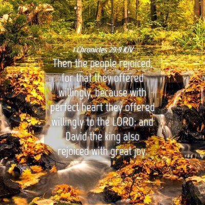 Picture 04 - 1 Chronicles 29:9 KJV - Then the people rejoiced, for that they offered - Bible Verse Picture