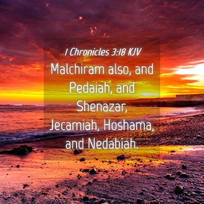 Picture 04 - 1 Chronicles 3:18 KJV - Malchiram also, and Pedaiah, and Shenazar, - Bible Verse Picture