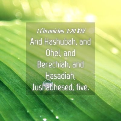 Picture 04 - 1 Chronicles 3:20 KJV - And Hashubah, and Ohel, and Berechiah, and - Bible Verse Picture