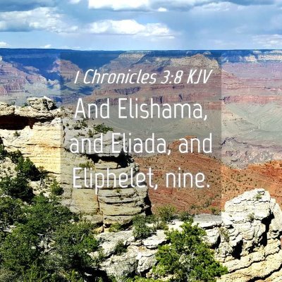 Picture 04 - 1 Chronicles 3:8 KJV - And Elishama, and Eliada, and Eliphelet, - Bible Verse Picture