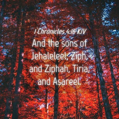 Picture 04 - 1 Chronicles 4:16 KJV - And the sons of Jehaleleel; Ziph, and Ziphah, - Bible Verse Picture