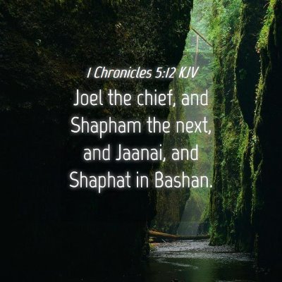 Picture 04 - 1 Chronicles 5:12 KJV - Joel the chief, and Shapham the next, and Jaanai, - Bible Verse Picture