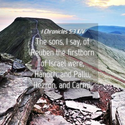 Picture 04 - 1 Chronicles 5:3 KJV - The sons, I say, of Reuben the firstborn of - Bible Verse Picture