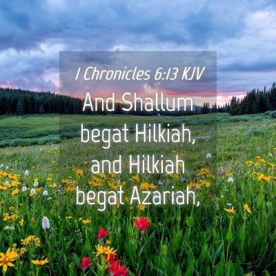 Picture 04 - 1 Chronicles 6:13 KJV - And Shallum begat Hilkiah, and Hilkiah begat - Bible Verse Picture