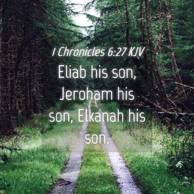 Picture 04 - 1 Chronicles 6:27 KJV - Eliab his son, Jeroham his son, Elkanah his - Bible Verse Picture