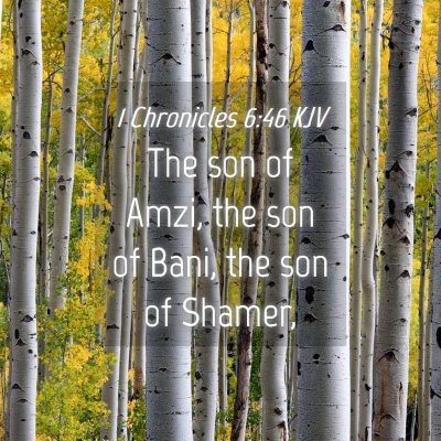 Picture 04 - 1 Chronicles 6:46 KJV - The son of Amzi, the son of Bani, the son of - Bible Verse Picture
