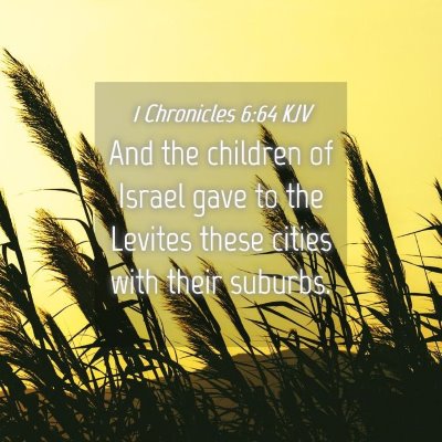 Picture 04 - 1 Chronicles 6:64 KJV - And the children of Israel gave to the Levites - Bible Verse Picture