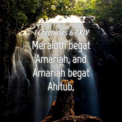 Picture 04 - 1 Chronicles 6:7 KJV - Meraioth begat Amariah, and Amariah begat - Bible Verse Picture