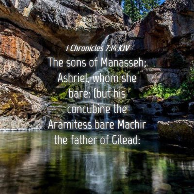 Picture 04 - 1 Chronicles 7:14 KJV - The sons of Manasseh; Ashriel, whom she bare: - Bible Verse Picture