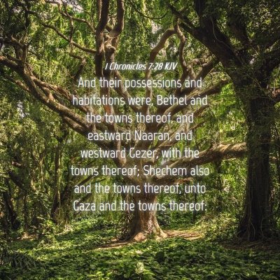 Picture 04 - 1 Chronicles 7:28 KJV - And their possessions and habitations were, - Bible Verse Picture