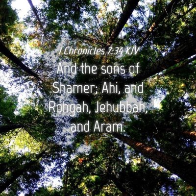 Picture 04 - 1 Chronicles 7:34 KJV - And the sons of Shamer; Ahi, and Rohgah, - Bible Verse Picture