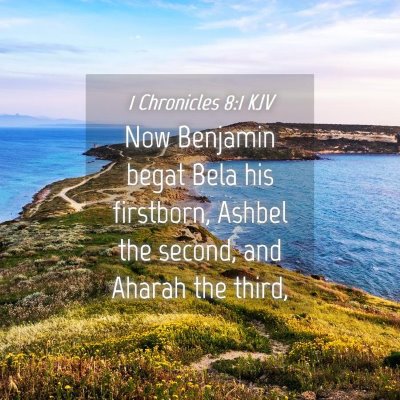Picture 04 - 1 Chronicles 8:1 KJV - Now Benjamin begat Bela his firstborn, Ashbel the - Bible Verse Picture