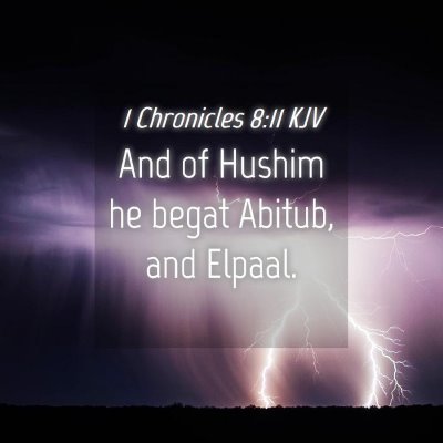 Picture 04 - 1 Chronicles 8:11 KJV - And of Hushim he begat Abitub, and - Bible Verse Picture