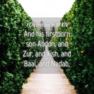 Picture 04 - 1 Chronicles 8:30 KJV - And his firstborn son Abdon, and Zur, and Kish, - Bible Verse Picture