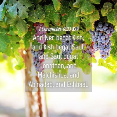 Picture 04 - 1 Chronicles 8:33 KJV - And Ner begat Kish, and Kish begat Saul, and Saul - Bible Verse Picture
