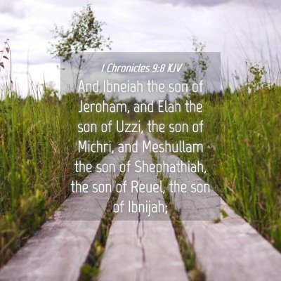 Picture 04 - 1 Chronicles 9:8 KJV - And Ibneiah the son of Jeroham, and Elah the son - Bible Verse Picture