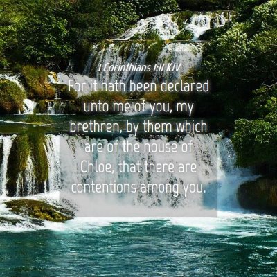Picture 04 - 1 Corinthians 1:11 KJV - For it hath been declared unto me of you, my - Bible Verse Picture
