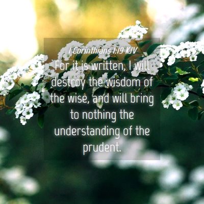 Picture 04 - 1 Corinthians 1:19 KJV - For it is written, I will destroy the wisdom of - Bible Verse Picture