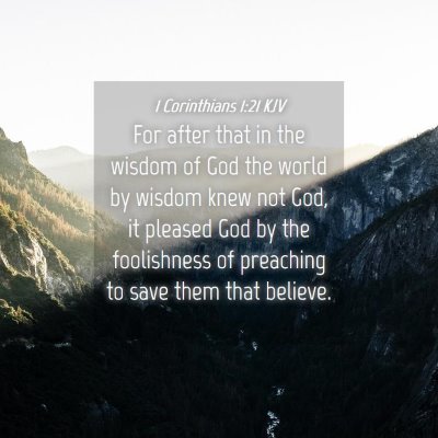 Picture 04 - 1 Corinthians 1:21 KJV - For after that in the wisdom of God the world by - Bible Verse Picture