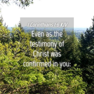 Picture 04 - 1 Corinthians 1:6 KJV - Even as the testimony of Christ was confirmed in - Bible Verse Picture