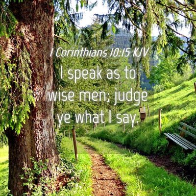 Picture 04 - 1 Corinthians 10:15 KJV - I speak as to wise men; judge ye what I - Bible Verse Picture