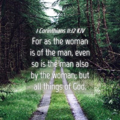Picture 04 - 1 Corinthians 11:12 KJV - For as the woman is of the man, even so is the - Bible Verse Picture
