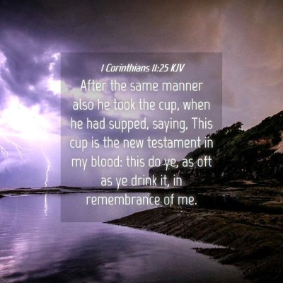 Picture 04 - 1 Corinthians 11:25 KJV - After the same manner also he took the cup, when - Bible Verse Picture
