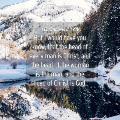 Picture 04 - 1 Corinthians 11:3 KJV - But I would have you know, that the head of every - Bible Verse Picture