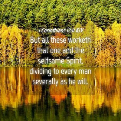 Picture 04 - 1 Corinthians 12:11 KJV - But all these worketh that one and the selfsame - Bible Verse Picture