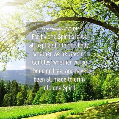 Picture 04 - 1 Corinthians 12:13 KJV - For by one Spirit are we all baptized into one - Bible Verse Picture