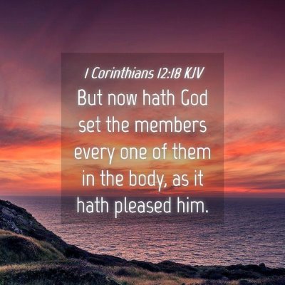 Picture 04 - 1 Corinthians 12:18 KJV - But now hath God set the members every one of - Bible Verse Picture