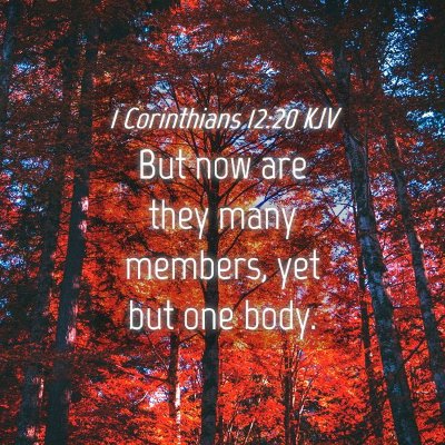 Picture 04 - 1 Corinthians 12:20 KJV - But now are they many members, yet but one - Bible Verse Picture
