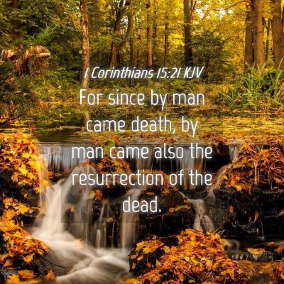 Picture 04 - 1 Corinthians 15:21 KJV - For since by man came death, by man came also the - Bible Verse Picture