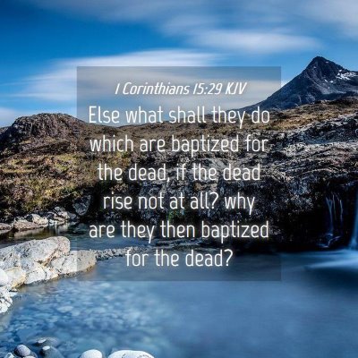 Picture 04 - 1 Corinthians 15:29 KJV - Else what shall they do which are baptized for - Bible Verse Picture