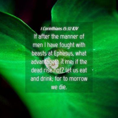 Picture 04 - 1 Corinthians 15:32 KJV - If after the manner of men I have fought with - Bible Verse Picture