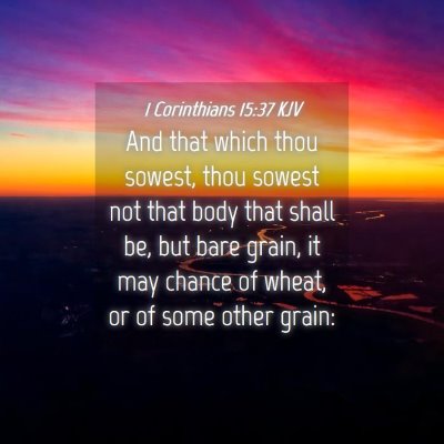 Picture 04 - 1 Corinthians 15:37 KJV - And that which thou sowest, thou sowest not that - Bible Verse Picture