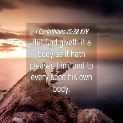 Picture 04 - 1 Corinthians 15:38 KJV - But God giveth it a body as it hath pleased him, - Bible Verse Picture