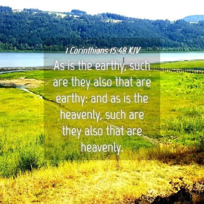 Picture 04 - 1 Corinthians 15:48 KJV - As is the earthy, such are they also that are - Bible Verse Picture
