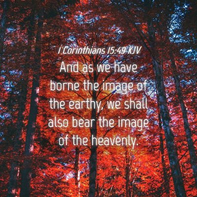 Picture 04 - 1 Corinthians 15:49 KJV - And as we have borne the image of the earthy, we - Bible Verse Picture