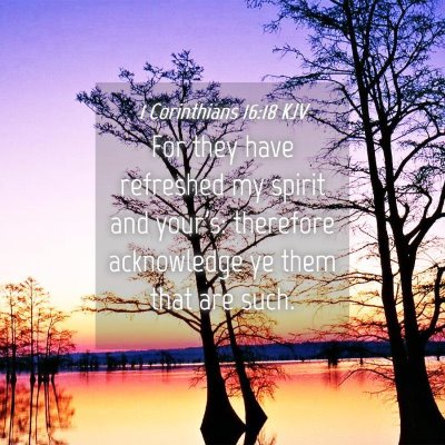 Picture 04 - 1 Corinthians 16:18 KJV - For they have refreshed my spirit and your's: - Bible Verse Picture
