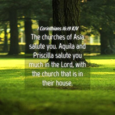 Picture 04 - 1 Corinthians 16:19 KJV - The churches of Asia salute you. Aquila and - Bible Verse Picture