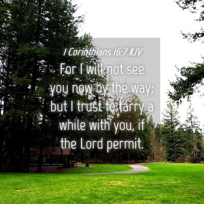 Picture 04 - 1 Corinthians 16:7 KJV - For I will not see you now by the way; but I - Bible Verse Picture