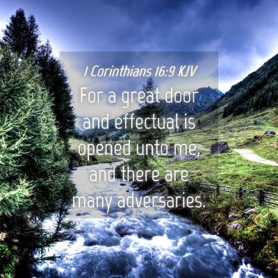 Picture 04 - 1 Corinthians 16:9 KJV - For a great door and effectual is opened unto me, - Bible Verse Picture