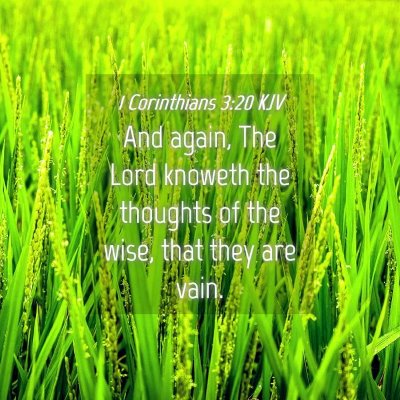 Picture 04 - 1 Corinthians 3:20 KJV - And again, The Lord knoweth the thoughts of the - Bible Verse Picture
