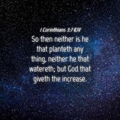 Picture 04 - 1 Corinthians 3:7 KJV - So then neither is he that planteth any thing, - Bible Verse Picture