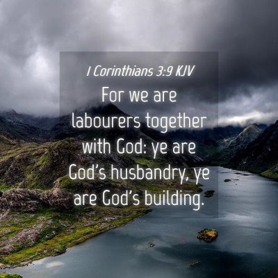 Picture 04 - 1 Corinthians 3:9 KJV - For we are labourers together with God: ye are - Bible Verse Picture
