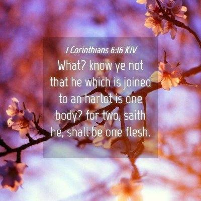 Picture 04 - 1 Corinthians 6:16 KJV - What? know ye not that he which is joined to an - Bible Verse Picture
