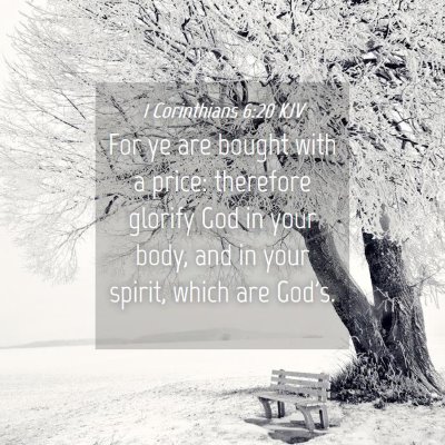 Picture 04 - 1 Corinthians 6:20 KJV - For ye are bought with a price: therefore glorify - Bible Verse Picture