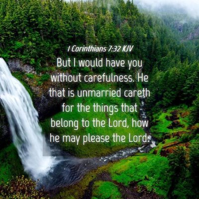 Picture 04 - 1 Corinthians 7:32 KJV - But I would have you without carefulness. He that - Bible Verse Picture